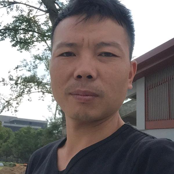 千年香榧