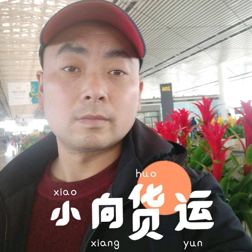 小向(天津北辰区万诚物流)