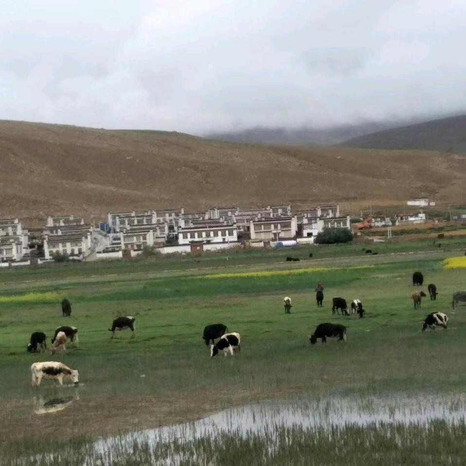 仓拉