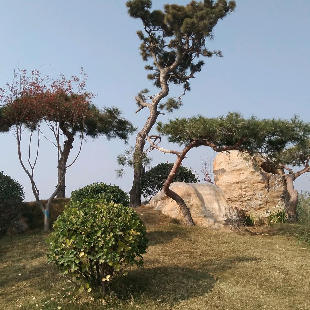 牵手走天涯