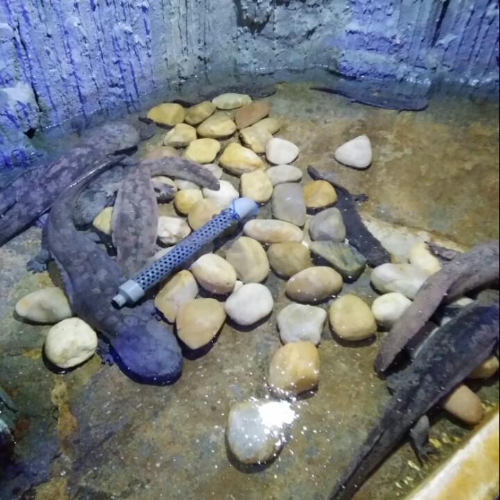 一段光