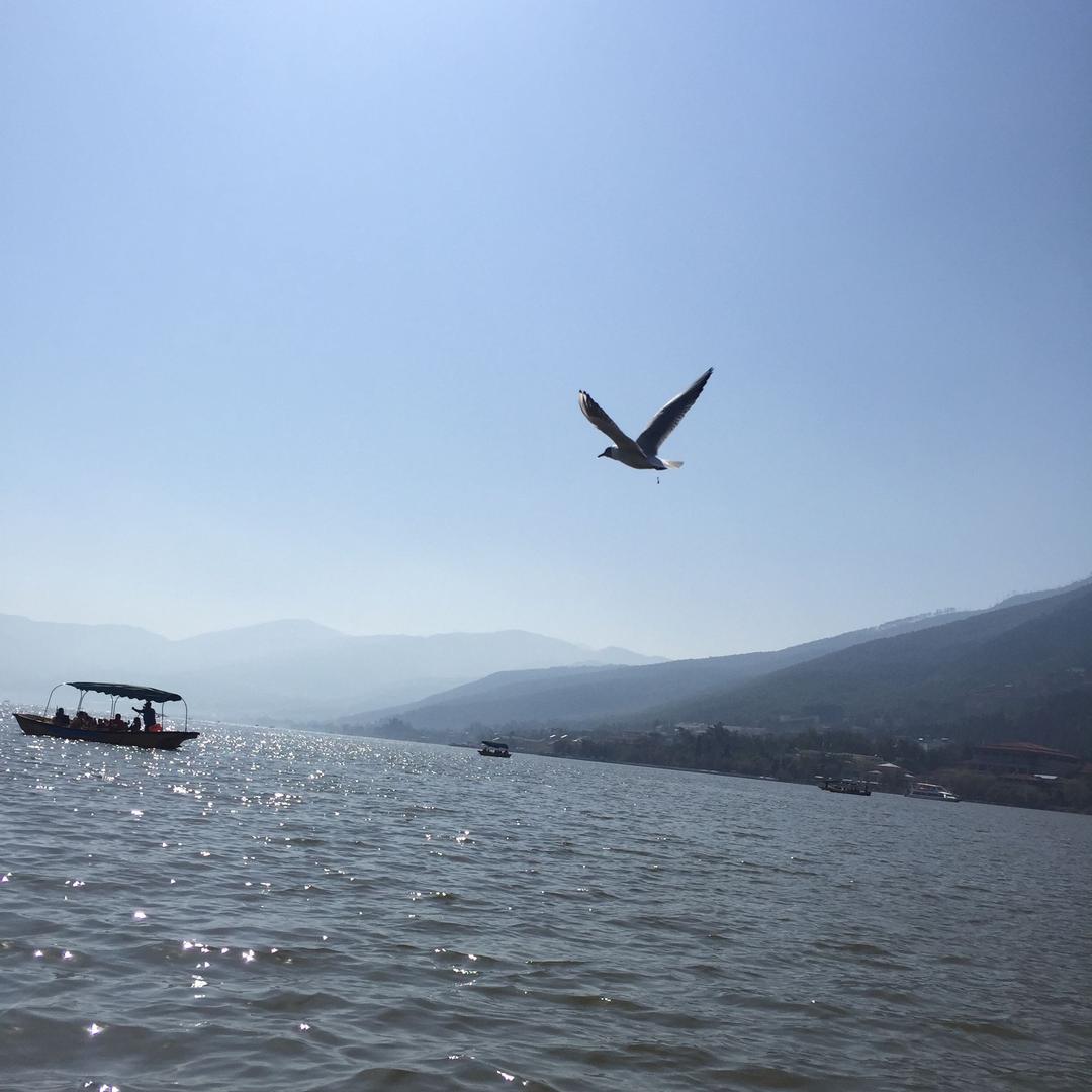 浅沫