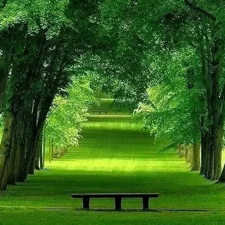 岁月静好🌹️🌹️