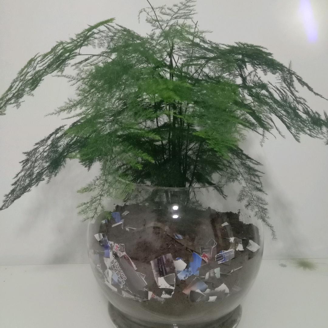 李布衣