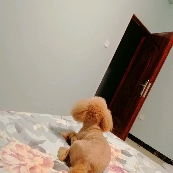 明_156715367