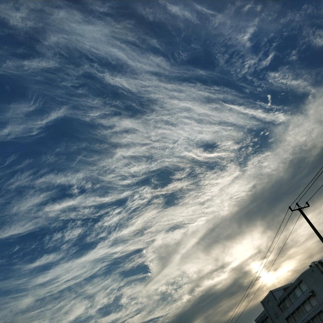王波