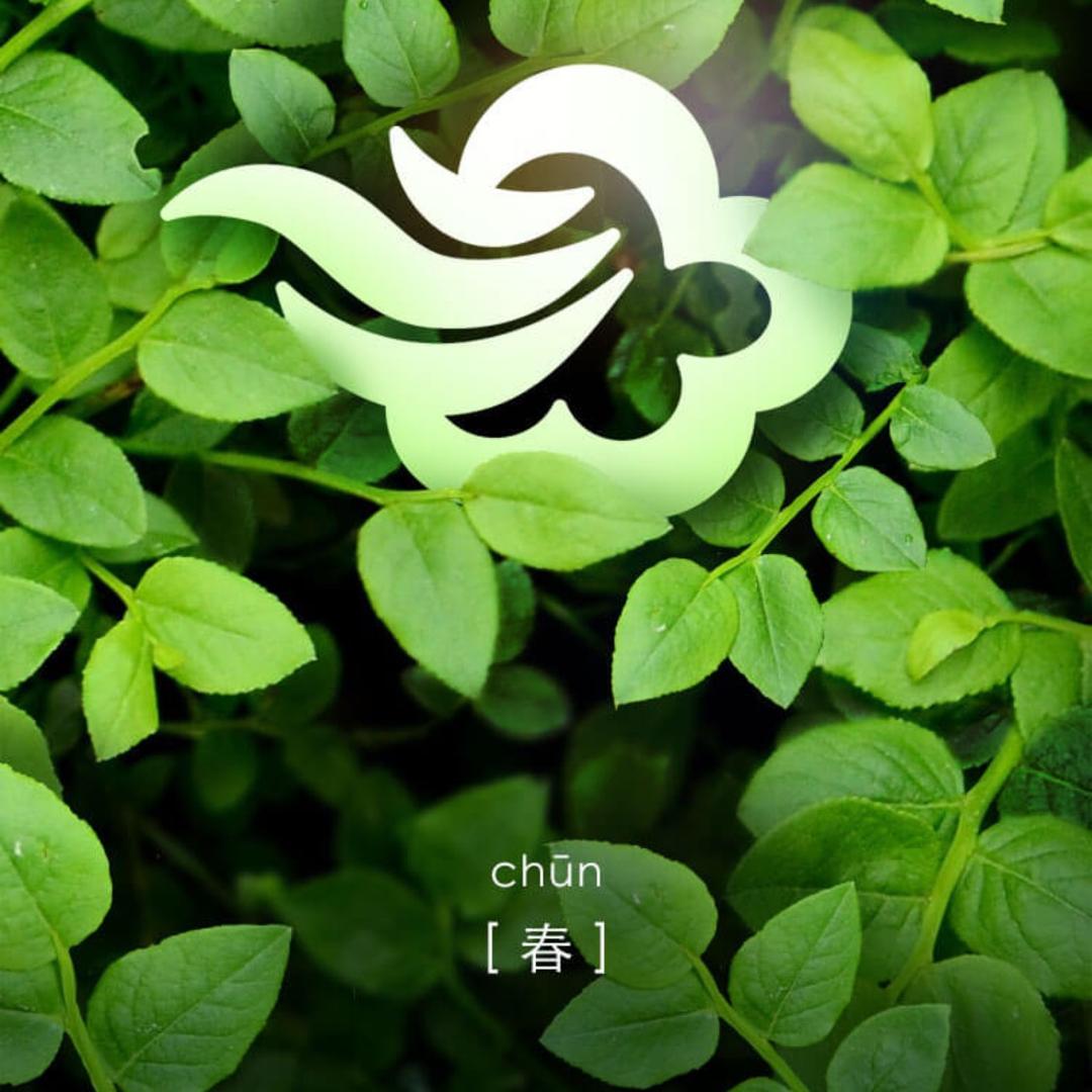 张棡