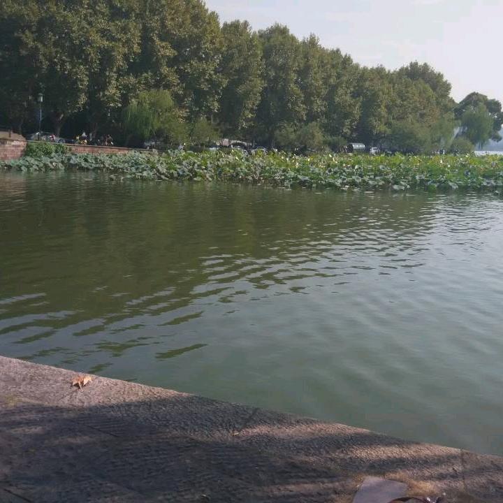 用户秋浦河畔