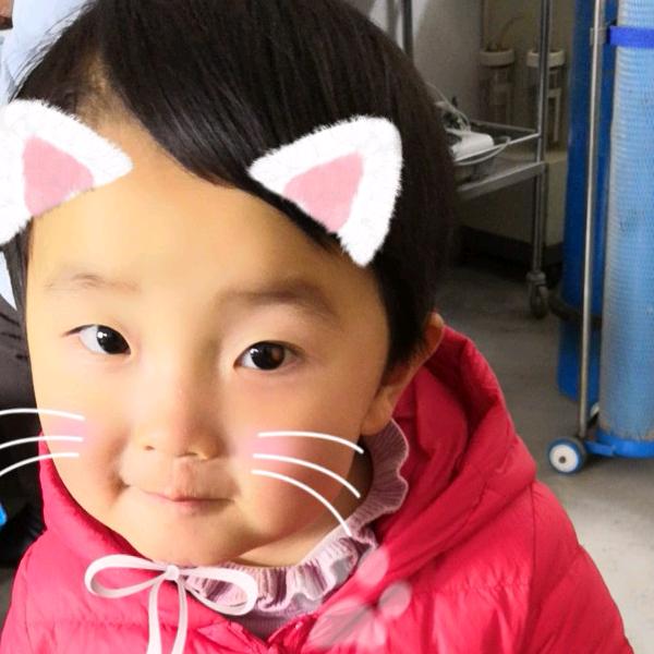 傻李傻气