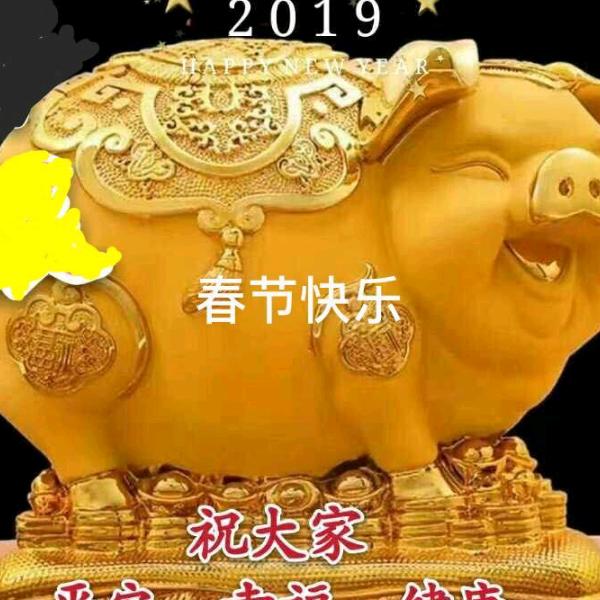 永不悔
