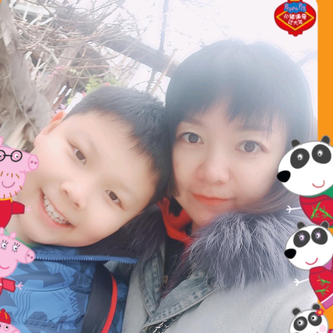 一只胖鹅子和一大堆宠物的故事