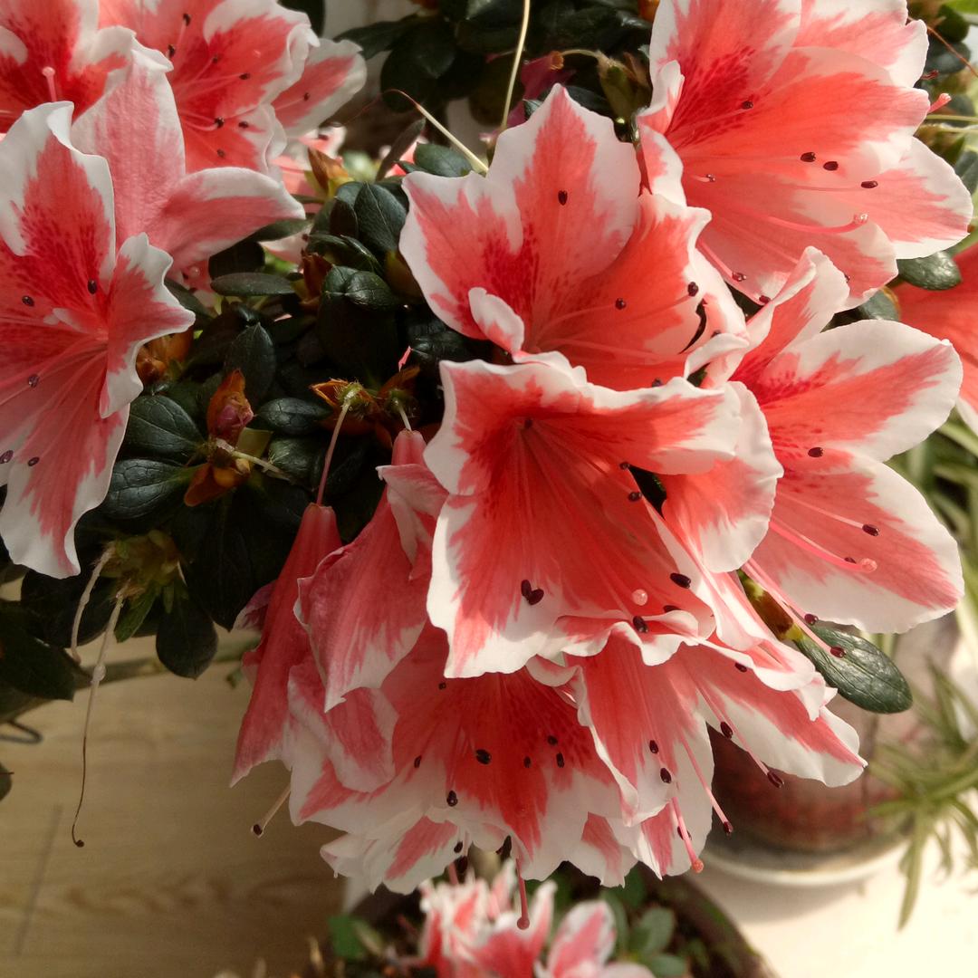 有你真好