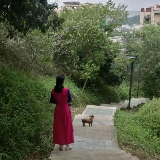 归去来兮0
