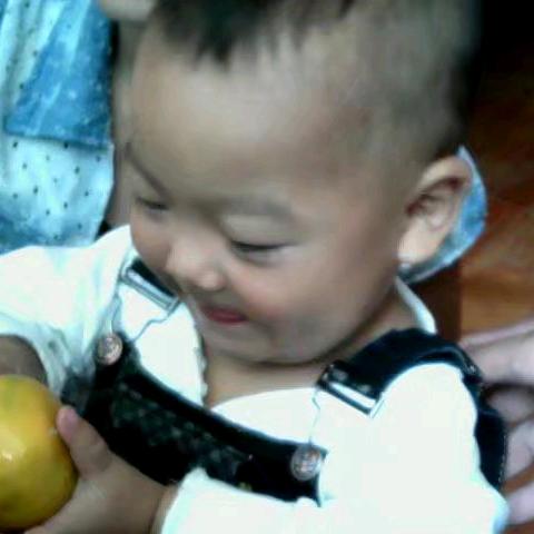 四通镇金利橱柜