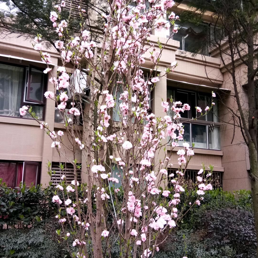 用户430462010010碧水微