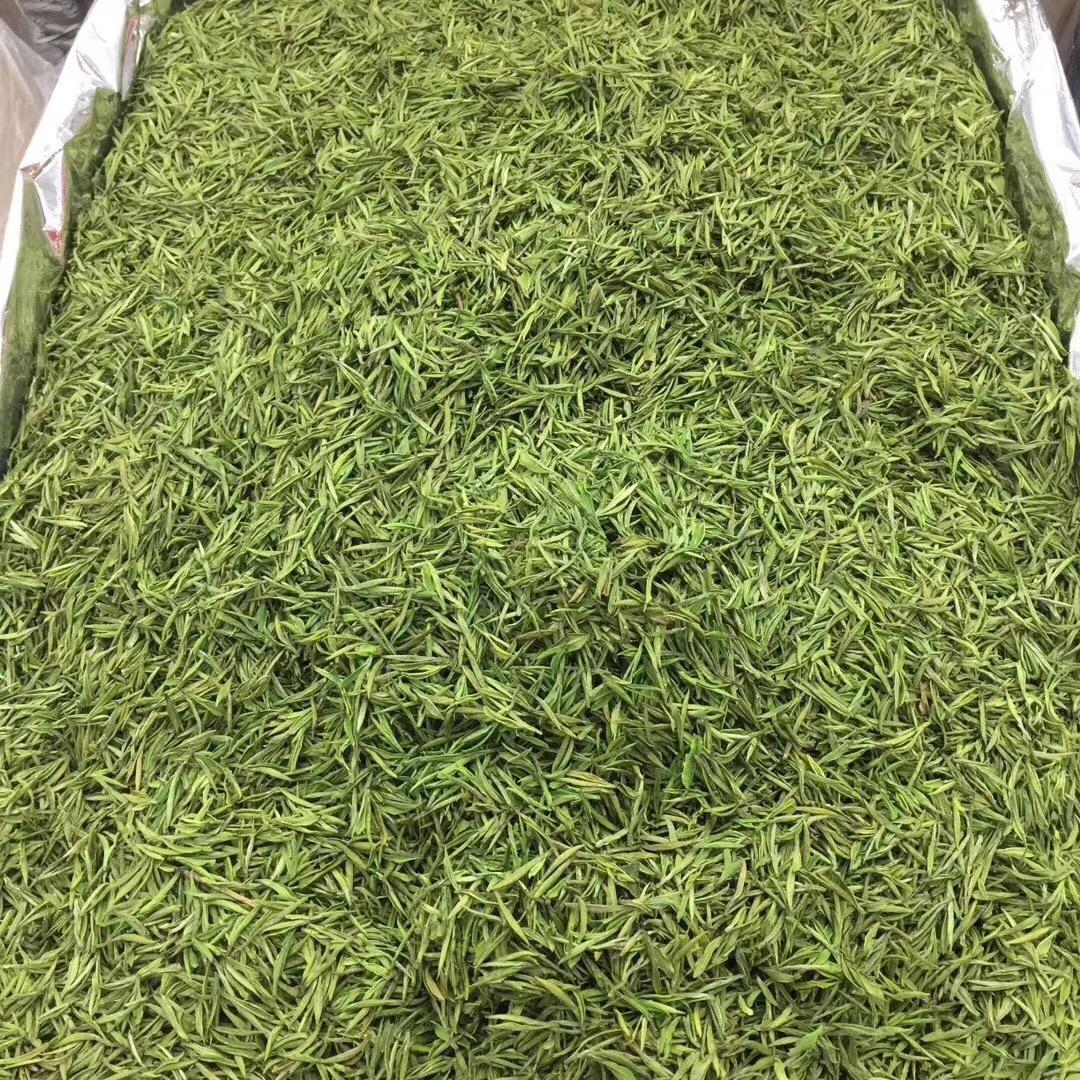 安吉溪龙世韵茶场