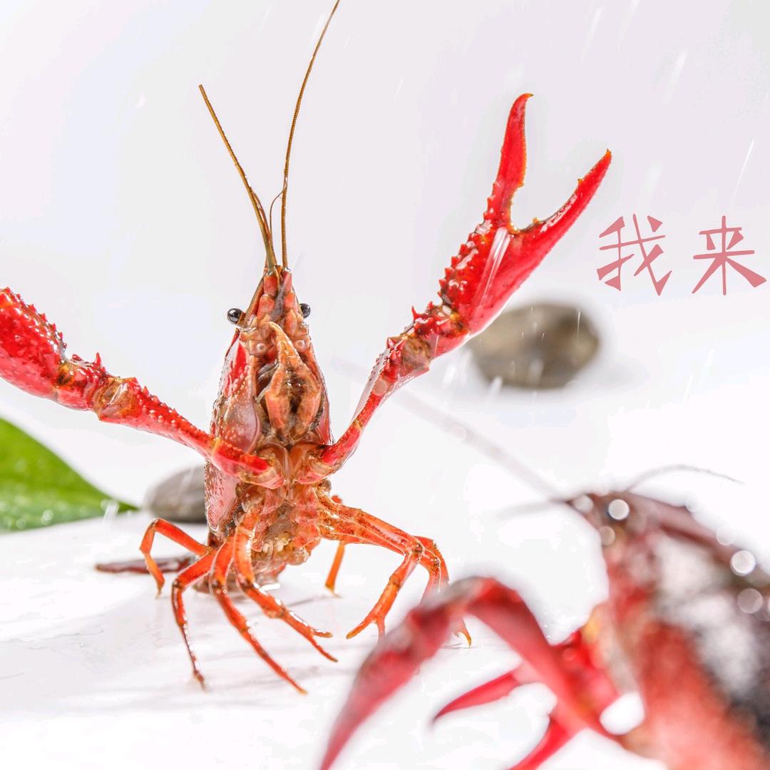 潜江大呷客油焖大虾