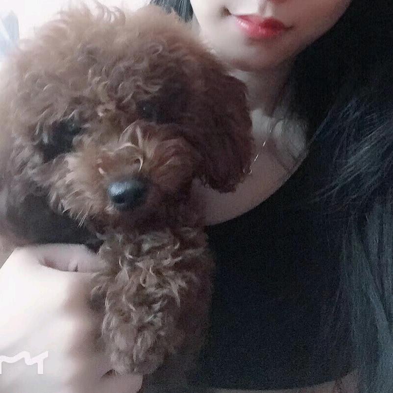九三.