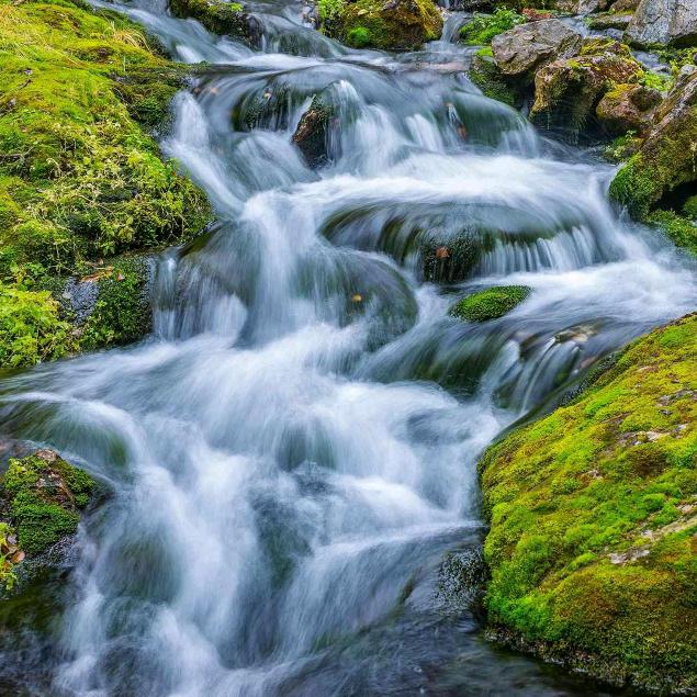 平安健康是福！