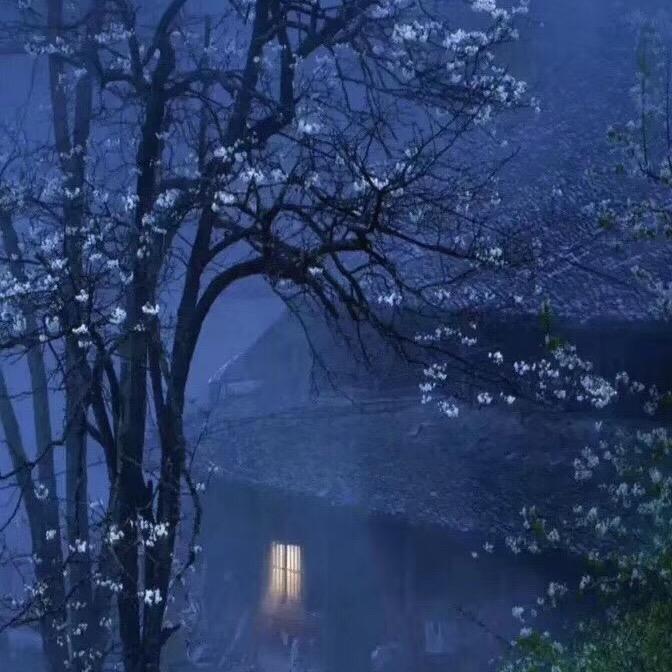 雪玉珍品