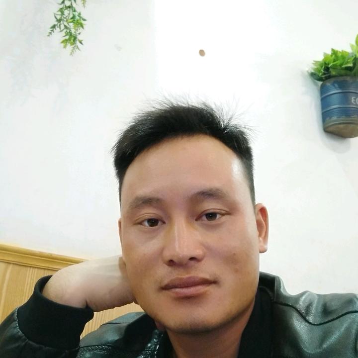 书成
