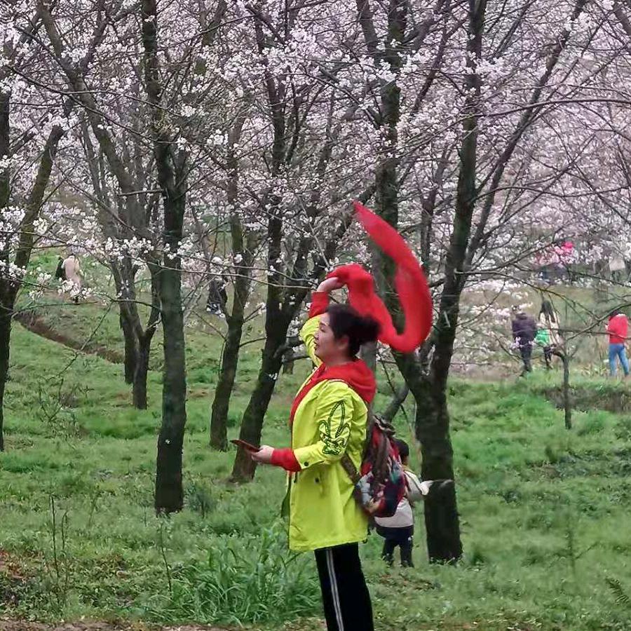 曹家小姐之老三、∴