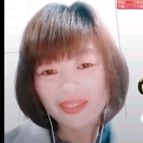 一枝梅6715