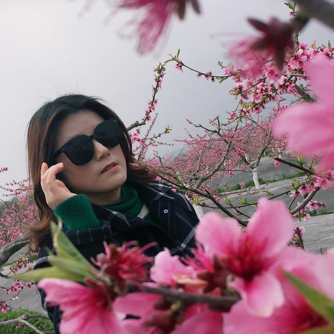 羽叶百合