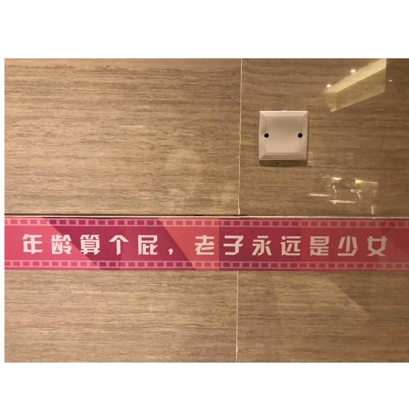 紫竹