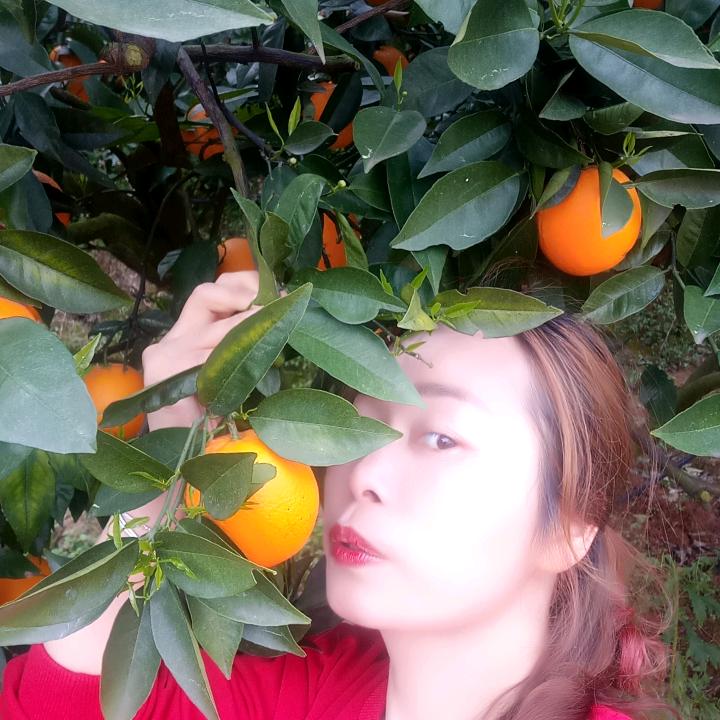 滢滢淼淼