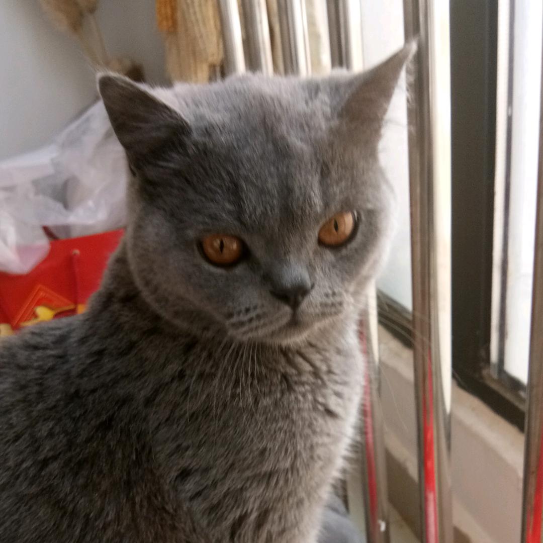 前程无忧
