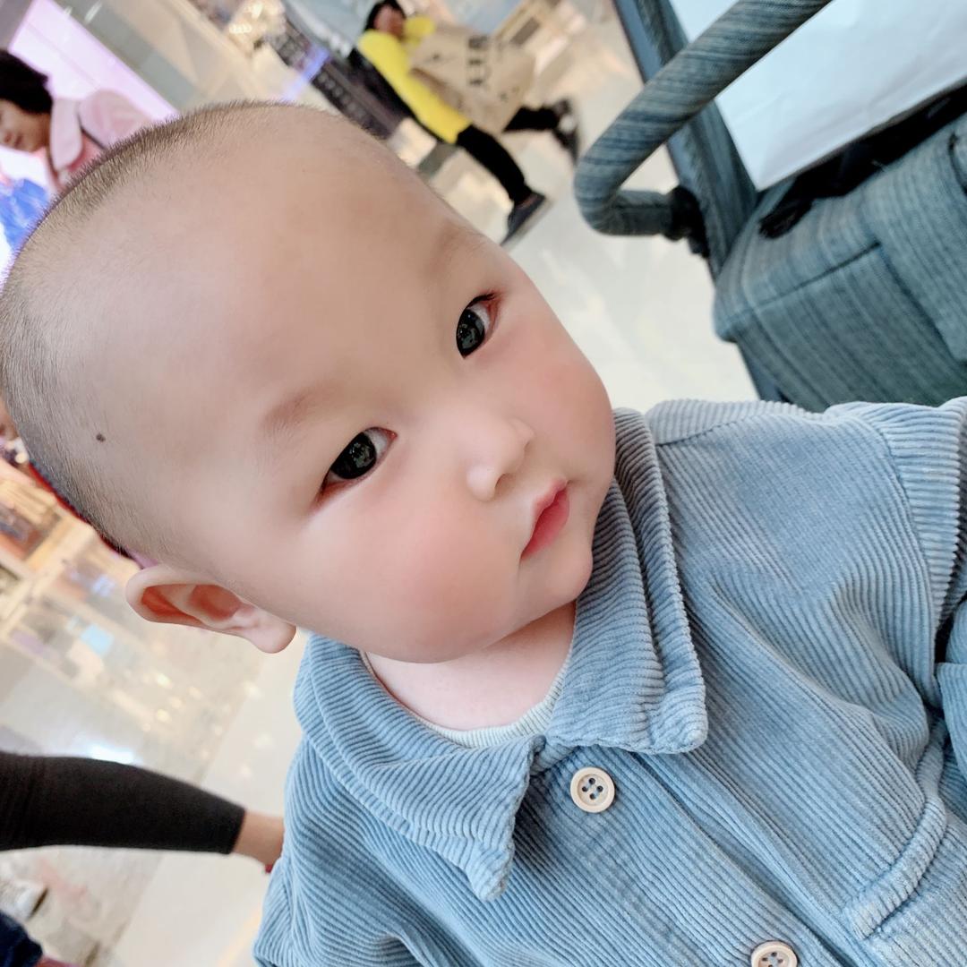 有只小强            🪳