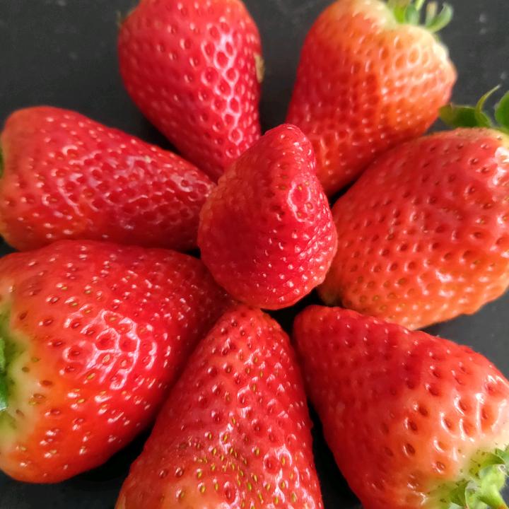 滕州卖木耳、调料的万利商贸