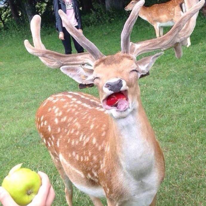 Www