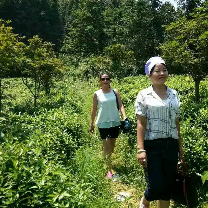 吴忠马燕