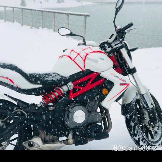 就这样放肆生活