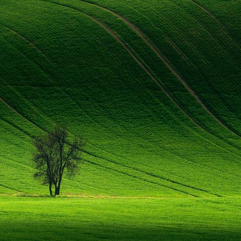 牧娜，内蒙特产