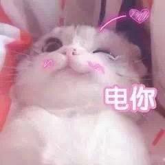 青空与林