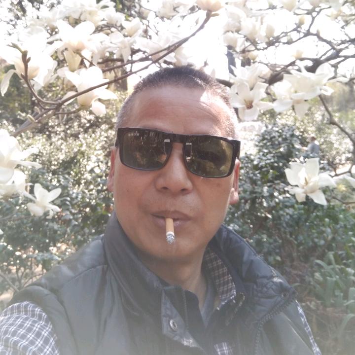 相忘于江湖_鄂B_云A