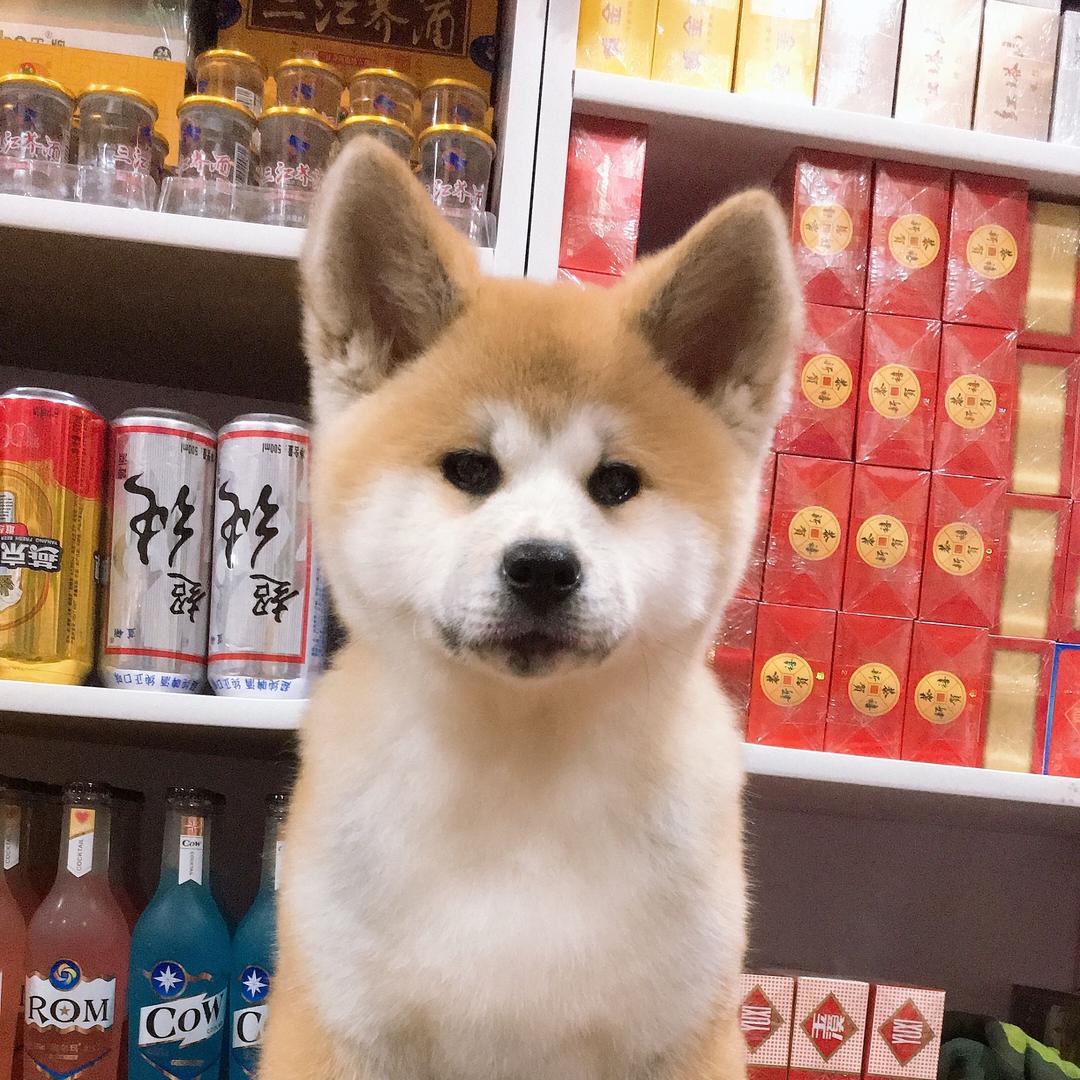 王氏名烟名酒