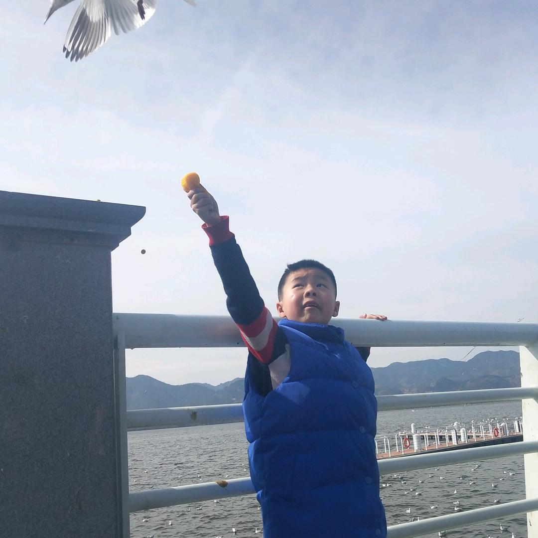 木，子