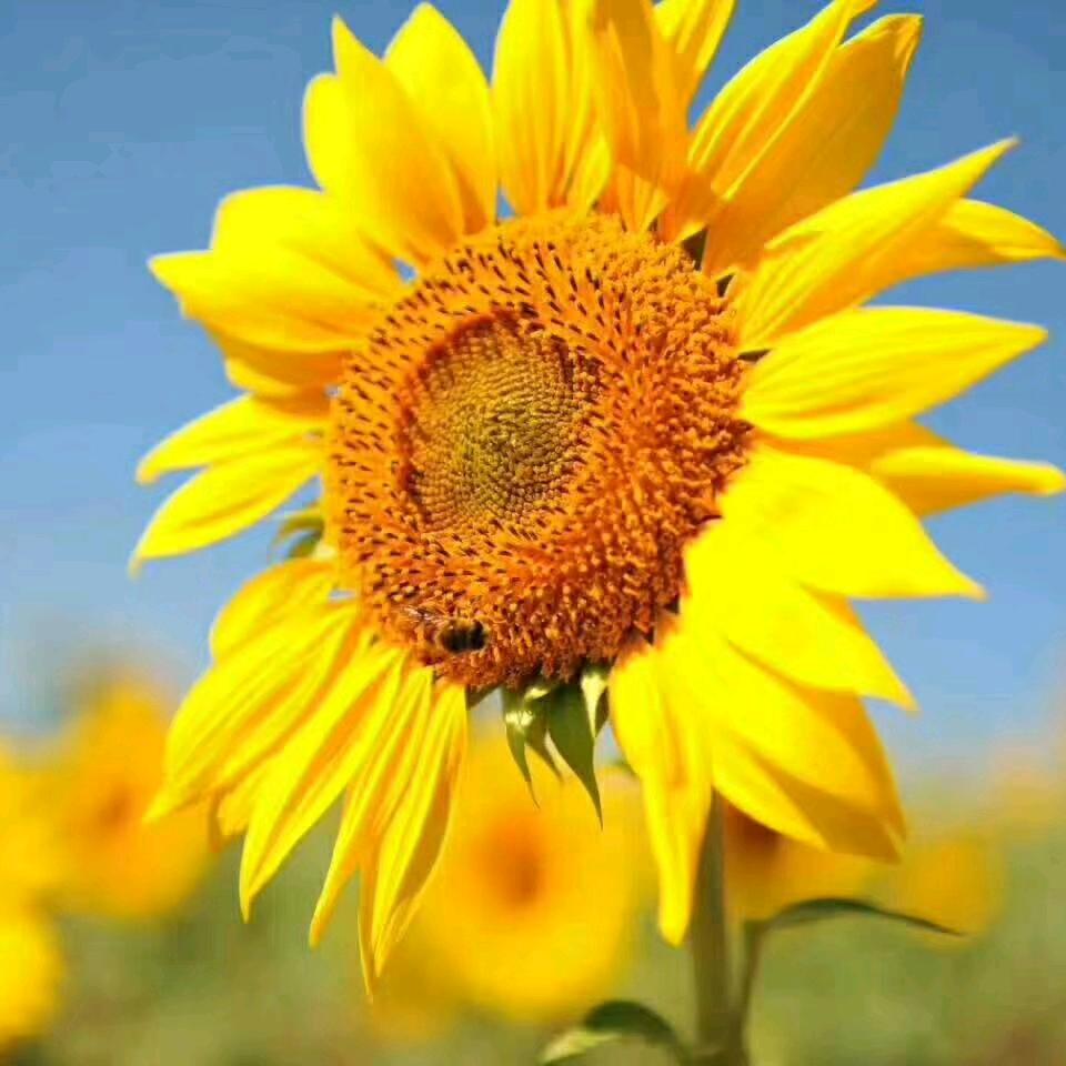 我爱我家❤️❤️