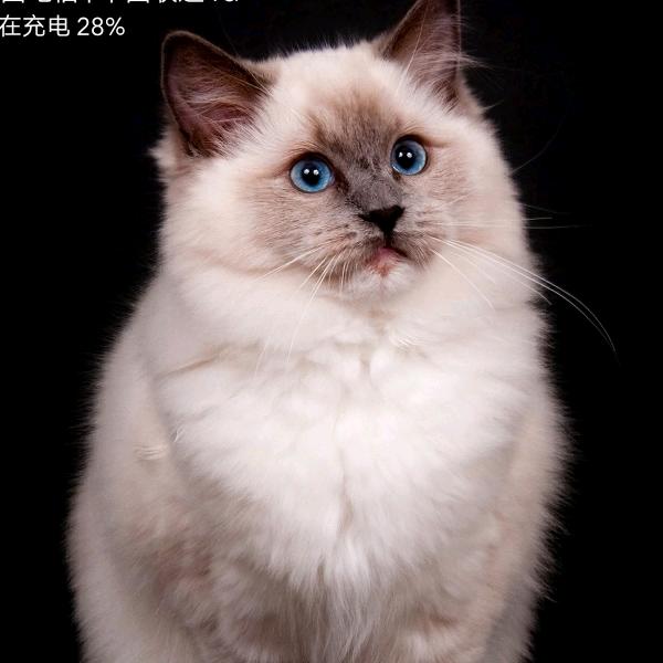 ༒࿈大如意发发༙྇࿈༒