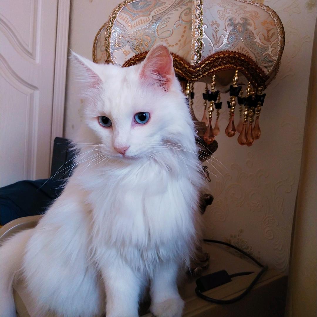 两个宝贝（请勿连赞！）