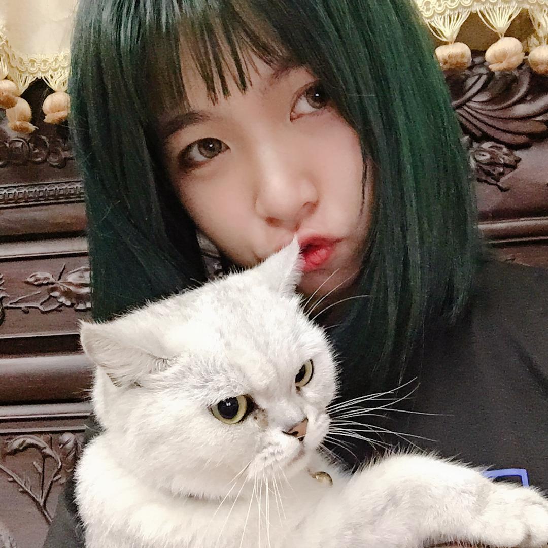 猪咪的三弟姐姐