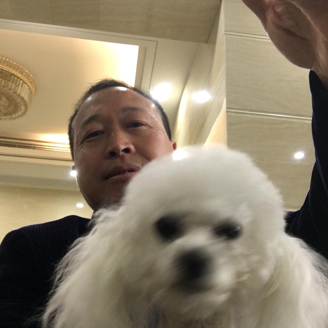 泸州川砂王石业有限公司
