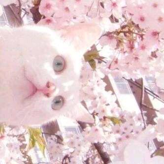 么么哒～