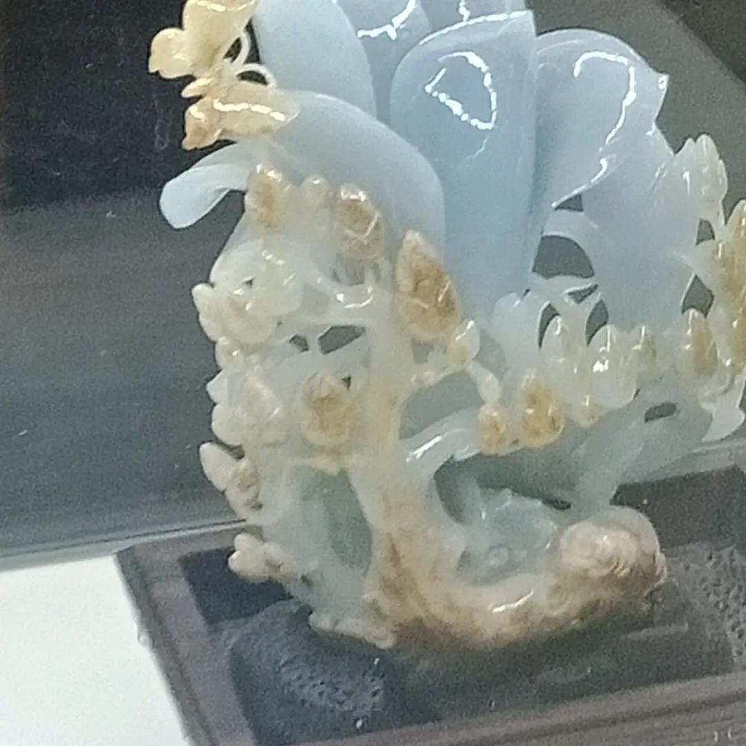 墙地贴砖苗