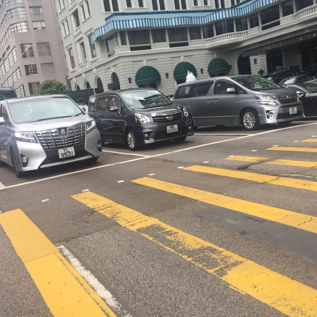 就乐意钓个小损🐟