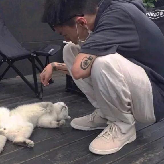 像风一样